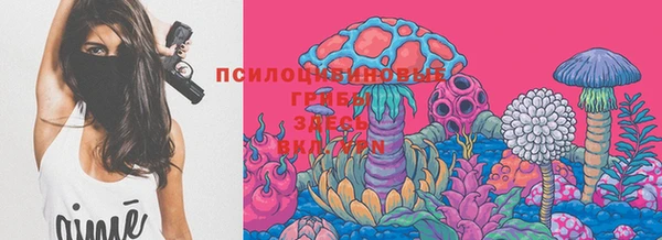 наркотики Белокуриха