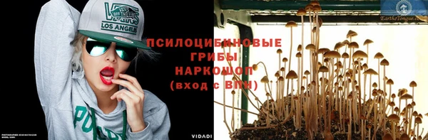наркотики Белокуриха