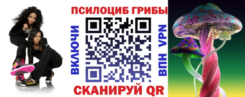 купить наркоту Оха Галлюциногенные грибы мицелий